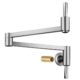 Wall Mount Faucet