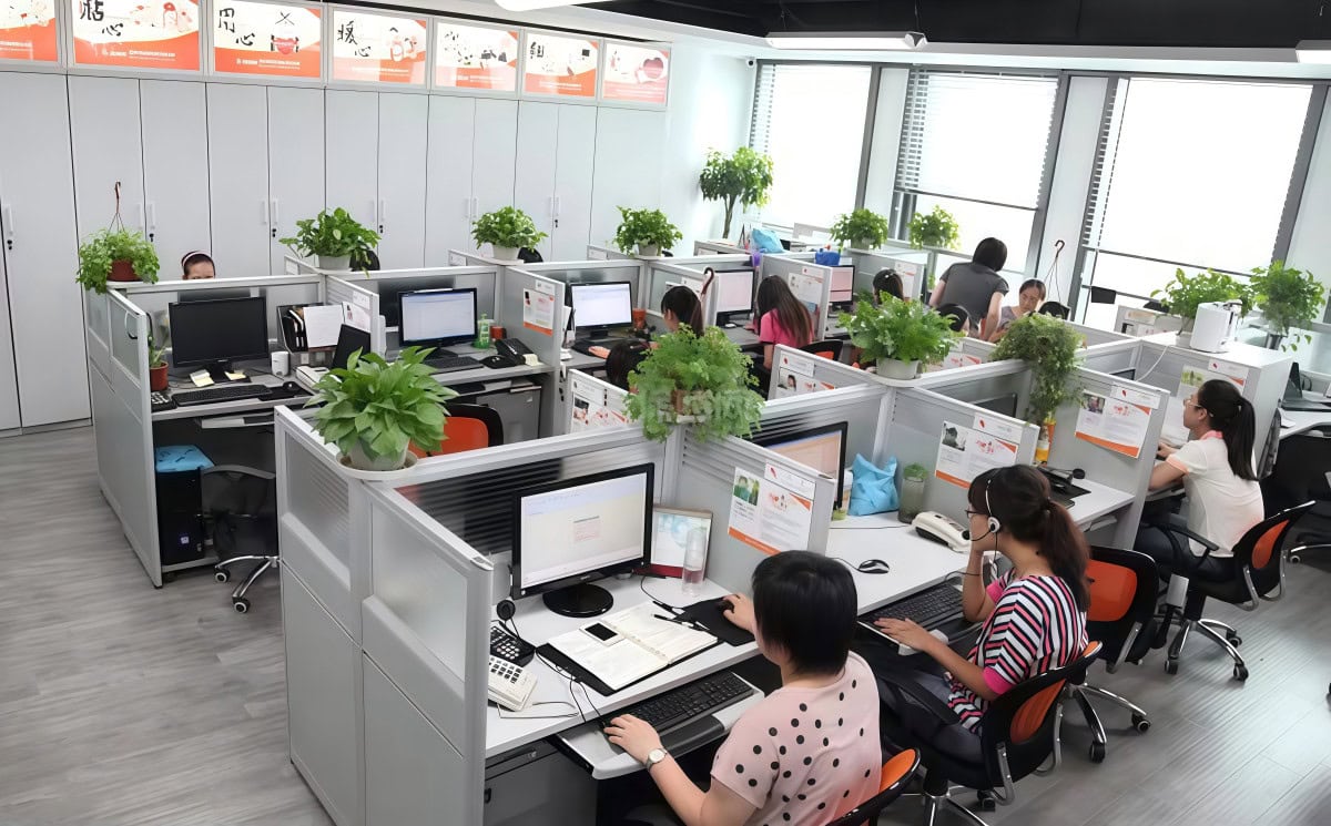A-Torneira office workspace with employees working at desks, plants, and modern technology in a bright, open-plan enviro.
