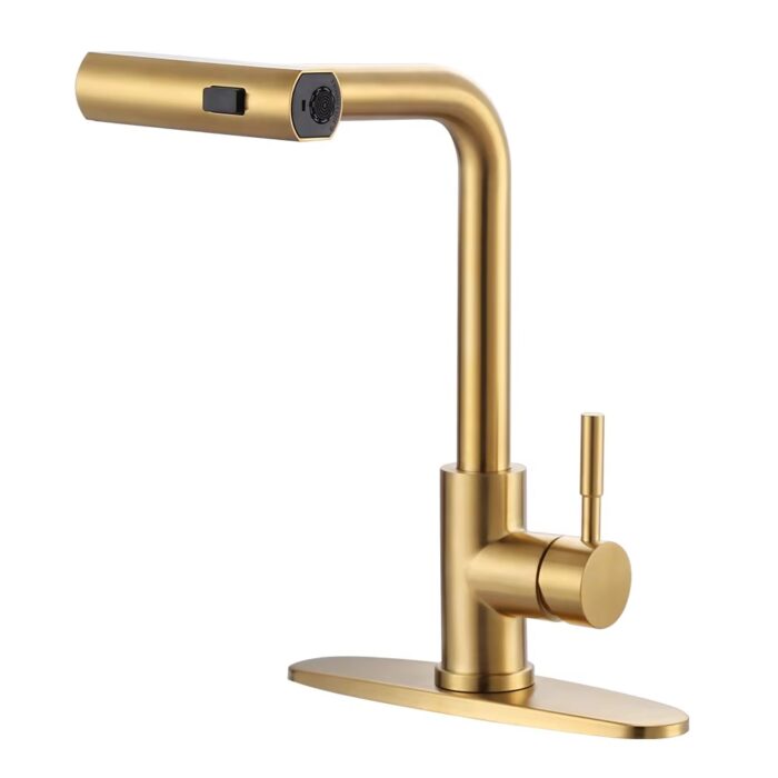 Pull-out Kitchen Faucet