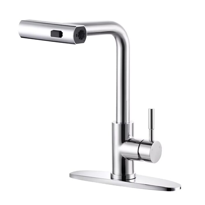 Pull-out Kitchen Faucet