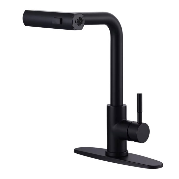 Pull-out Kitchen Faucet