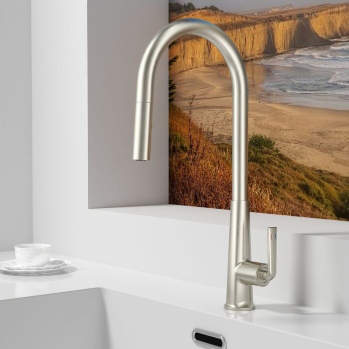 Sleek stainless steel kitchen faucet with high arc design and modern single-handle control.