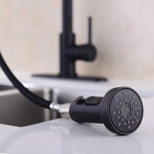 Black Spring Tap X2