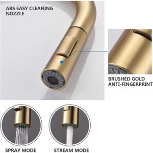 Gold Sink Tap X2