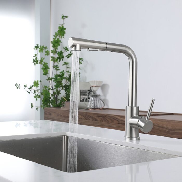 Kitchen Faucet Pull Out