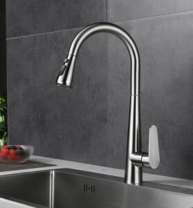 Kitchen Faucet with Pull Down Nozzle X1