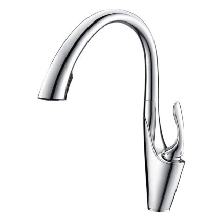 Kitchen Faucet with Pull Down Sprayer