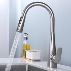 Kitchen Faucet with Pull Down Sprayer 304 Stainless Steel X1