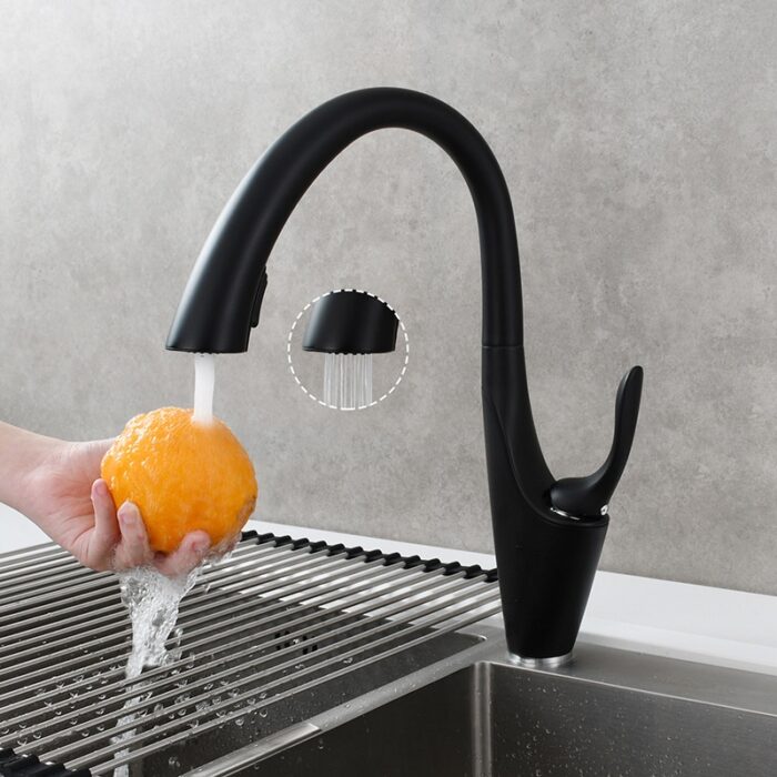 Kitchen Faucet with Pull Down Sprayer