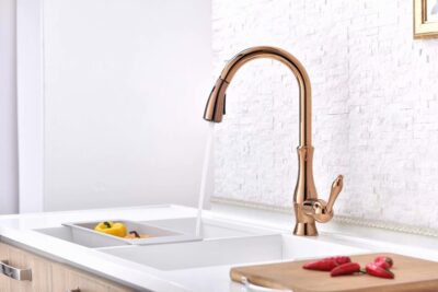 Kitchen Faucet with Sprayer Pull Out Spray Sink Tap X1