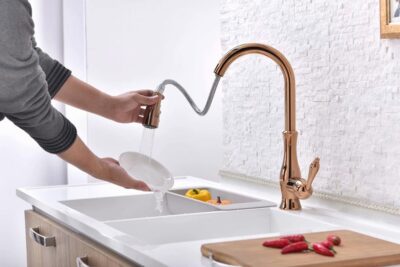 Kitchen Faucet with Sprayer Pull Out Spray Sink Tap X2