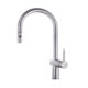 Kitchen Faucets with Pull Down Sprayer
