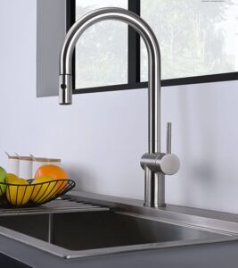 Kitchen Faucets with Pull Down Sprayer X2