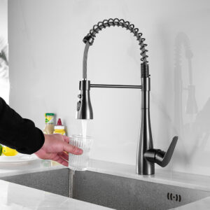 Kitchen Faucets with Pull Out Sprayer X2
