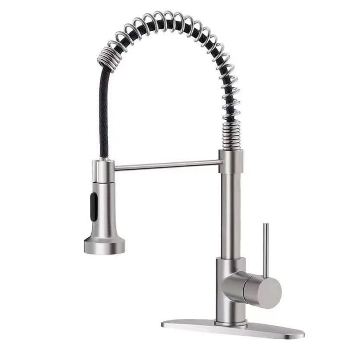 Kitchen Faucets with Pull-out Spray