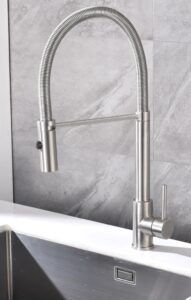 Kitchen Sink Faucet with Pull Out Sprayer X2