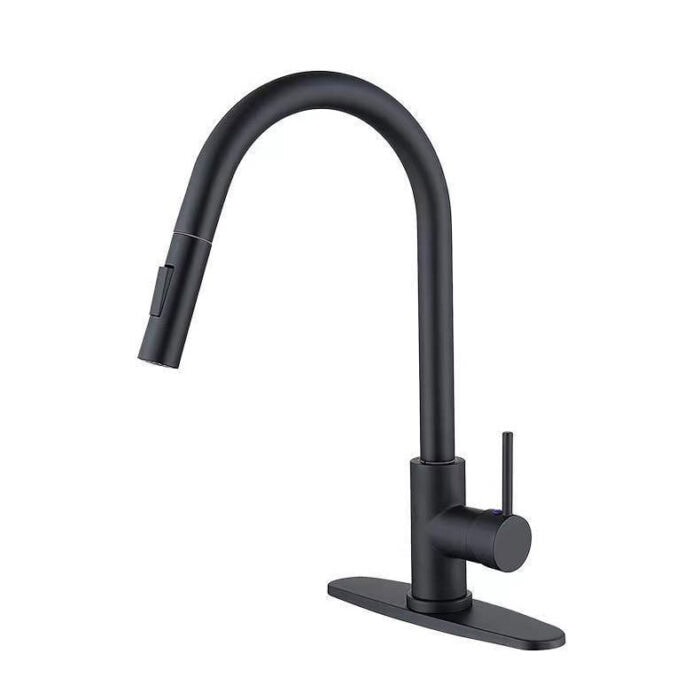 Kitchen Sink Faucets with Pull-out Spray