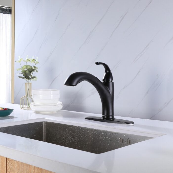Polished black kitchen faucet, modern design, single handle, sleek and durable.