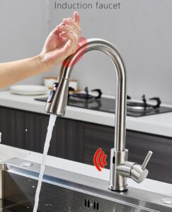 Pull-down Sink Sprayer Tap