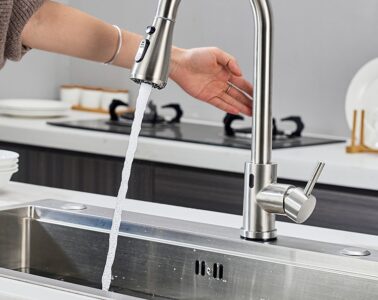 Pull-down Sink Sprayer Tap