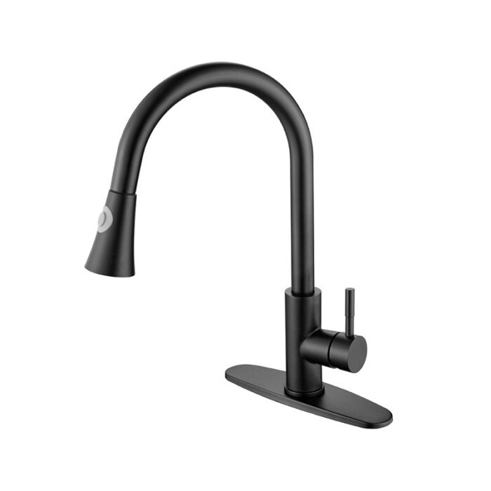 Pull-out Kitchen Faucet with Dual Spray Modes Swivel Tap