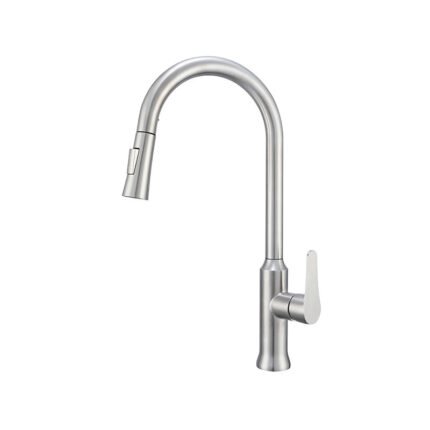 Single Handle Kitchen Faucet with Pull-out Sprayer