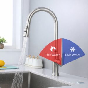 Single Handle Kitchen Faucet with Pull out Sprayer X3