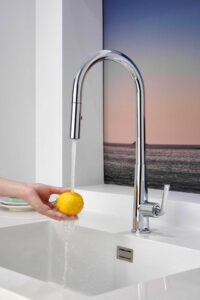 Zinc Alloy Tap with Sprayer X1